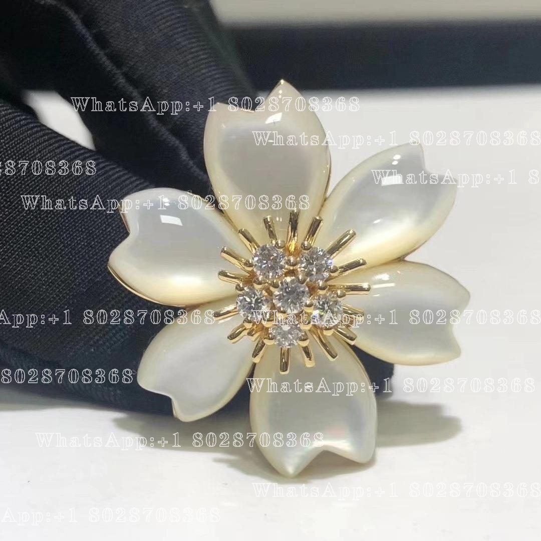 Van Cleef & Arpels Rose de Noël clip, large model Yellow gold, Diamond, Mother-of-pearl VCARA53800