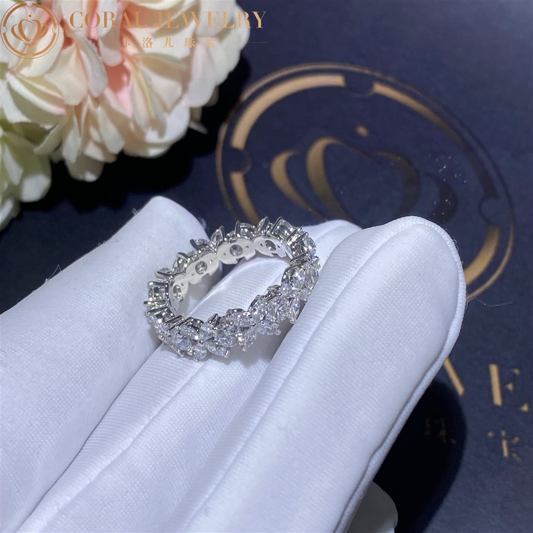 Tiffany Victoria™ Alternating Ring in Platinum