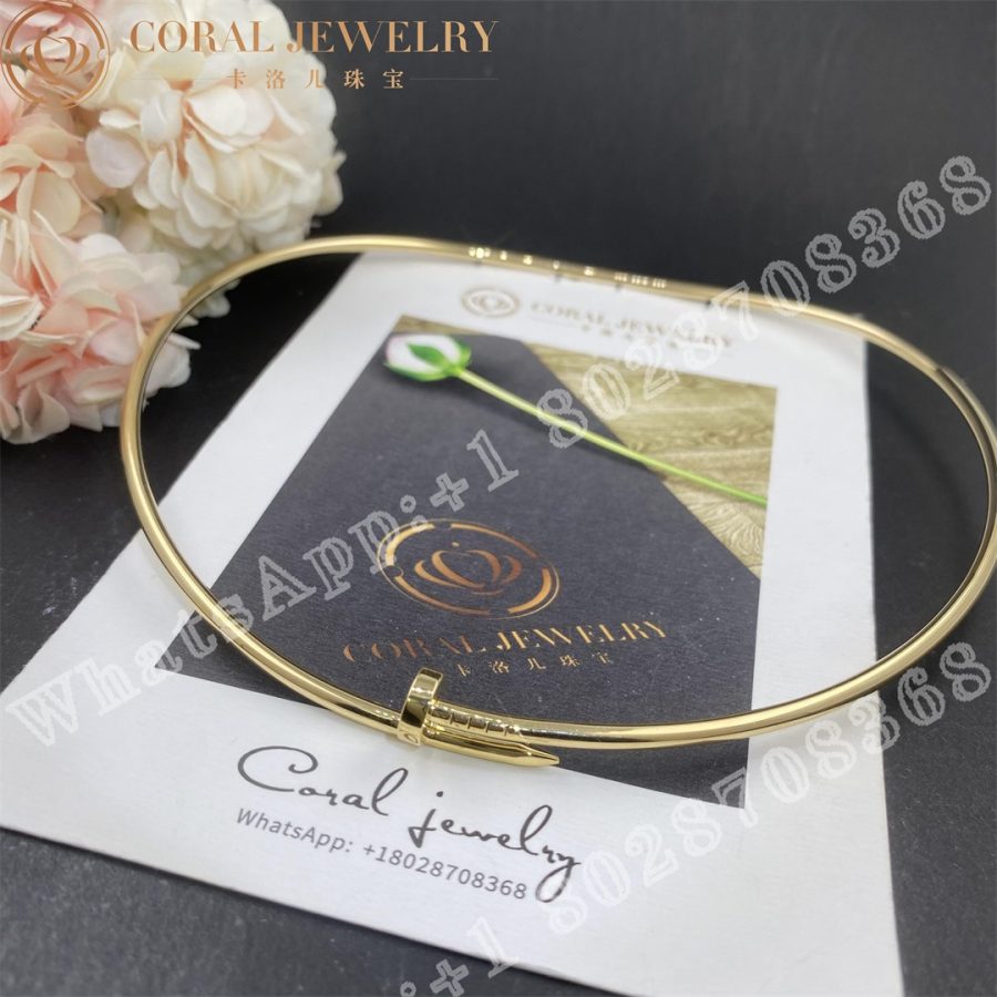 Cartier Juste un Clou Collar Necklace Small Model Ref. B7224799 - Image 6