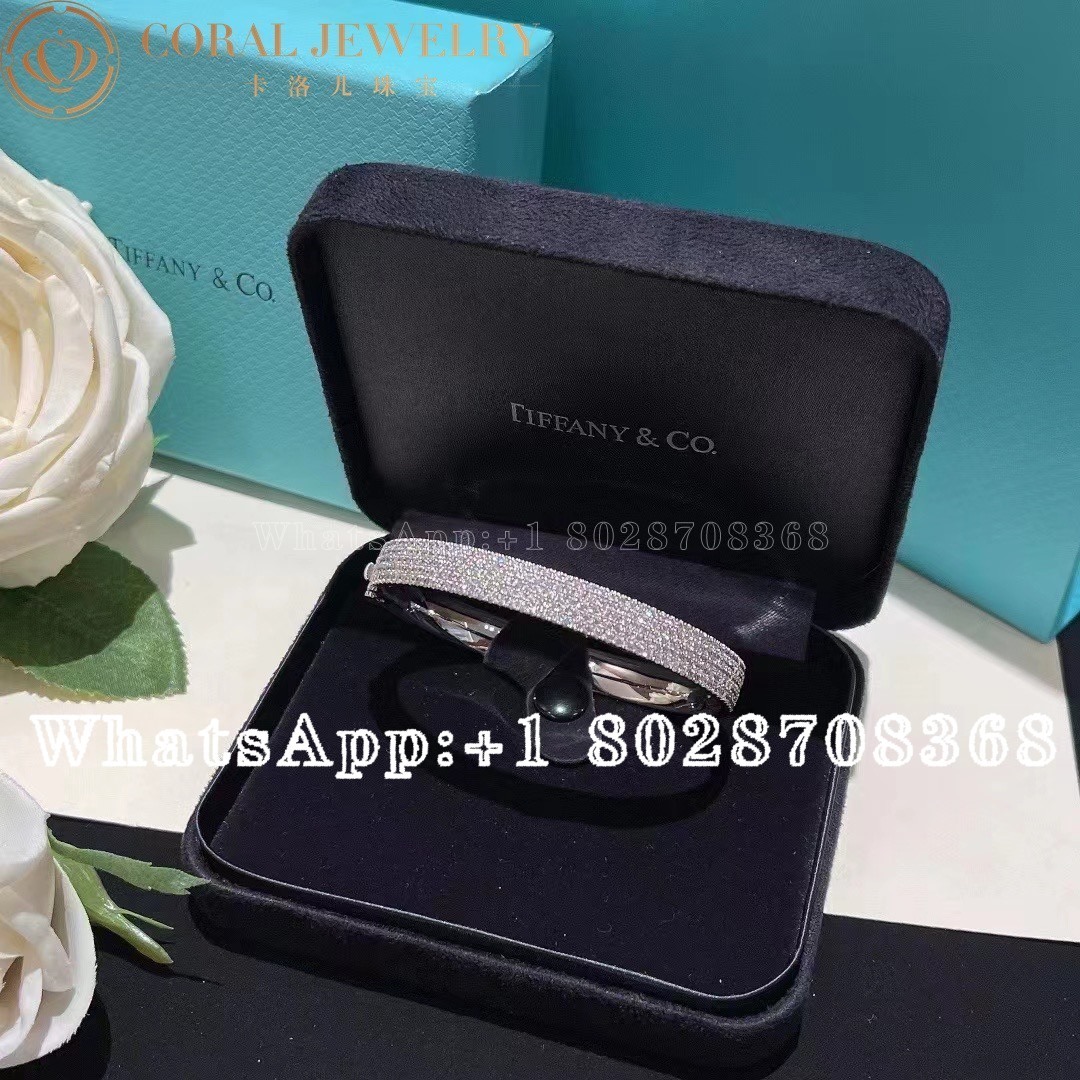 Tiffany Metro Five Row Bangle Coral (2)