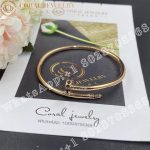 Cartier Juste un Clou Bracelet Rose Gold, Black Diamonds - Image 8